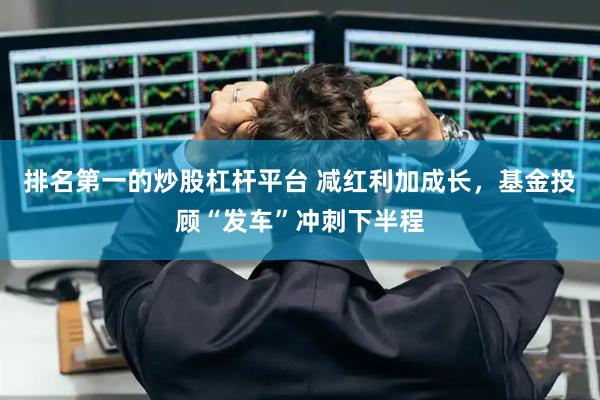 排名第一的炒股杠杆平台 减红利加成长，基金投顾“发车”冲刺下半程