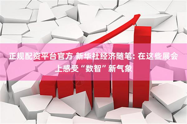 正规配资平台官方 新华社经济随笔: 在这些展会上感受“数智”新气象