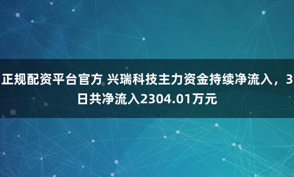 正规配资平台官方 兴瑞科技主力资金持续净流入，3日共净流入2304.01万元